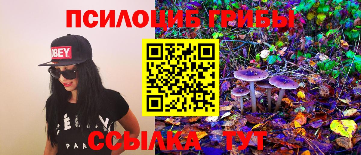 Псилоцибиновые грибы мицелий  Галлюциногенные грибы Magic Shrooms  Людиново  Вход с VPN 