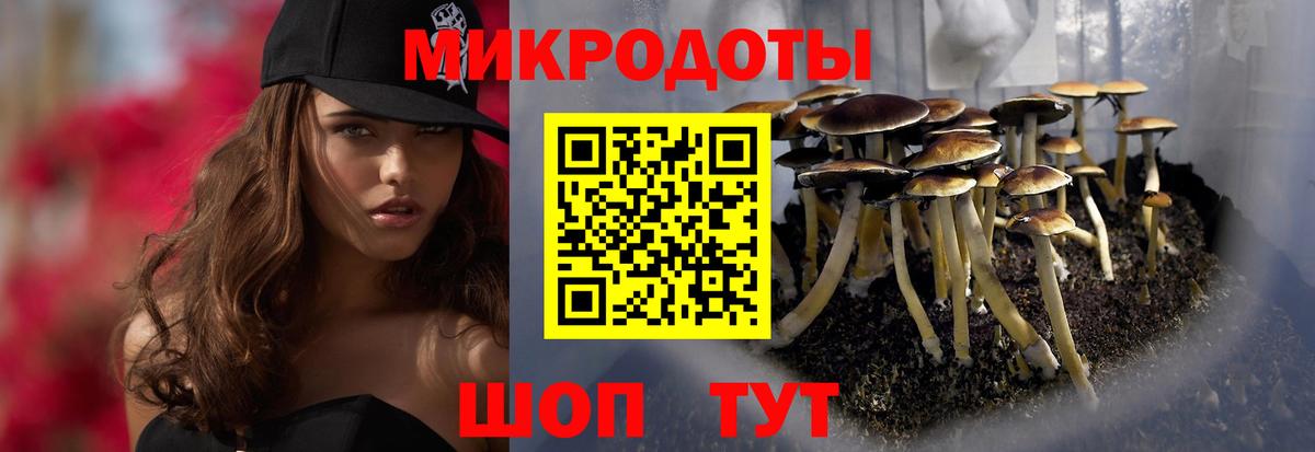 Псилоцибиновые грибы Psilocybine cubensis Людиново